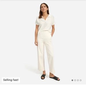 Everlane The Easy Pant - canvas